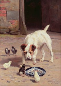 Confrontatie door Alfred Duke